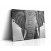 Monochromatický slon na plátně dodá vašemu domovu majestátní a nadčasovou eleganci.