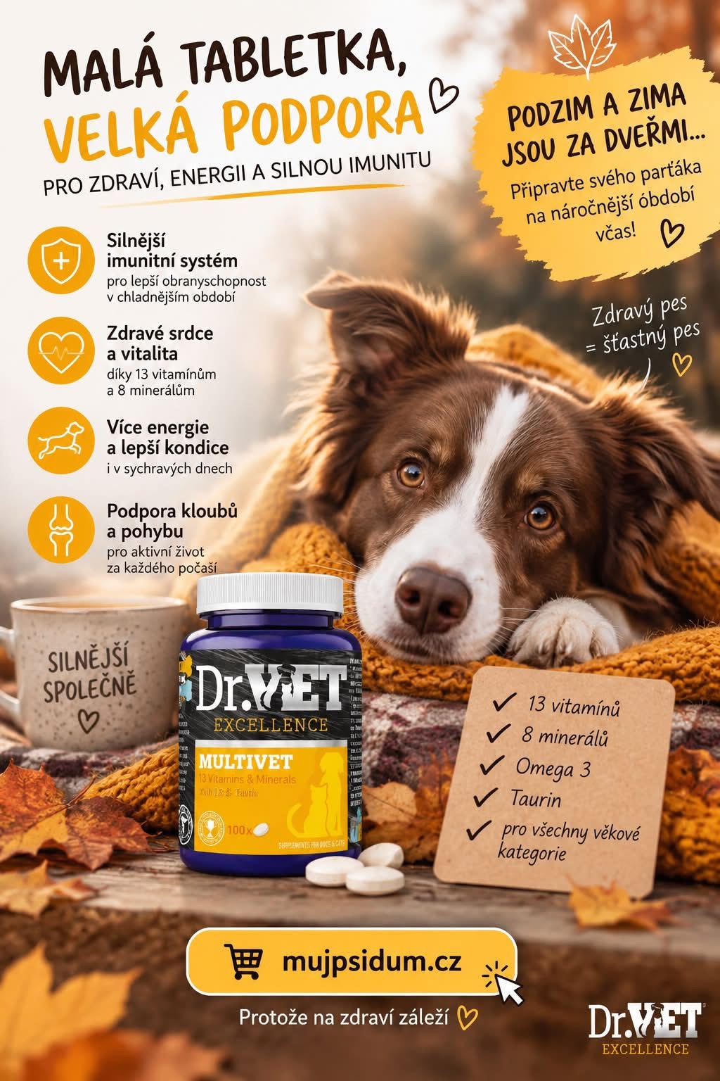 DR.Vet
