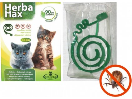 6DAE7818 968A 4C68 8310 319A88D355E6