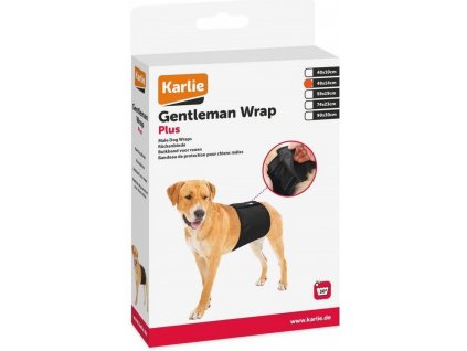 C2E8B4BC E975 4C57 955F 17E6F6E0E7C2