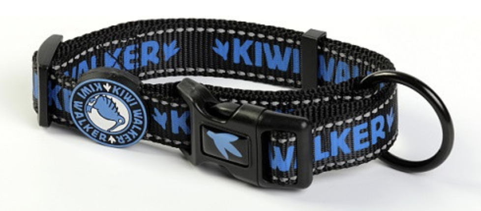Obojek Kiwi Walker modrá Velikost: S - šířka 2cm, obvod 32-45cm