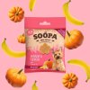 Soopa Healthy Bites Mini s banánem a dýní 50g
