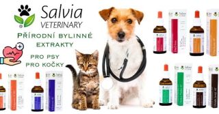 🐾🌿💚Salvia Veterinary💚🌿🐾 Nově nabízíme v našem e-shopu veterinární bezalkoholové a především přírodní bylinné extrakty pro...