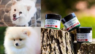 Ospalky, výtoky z očí a následně jejich usazení na srsti psa...🥺😩 tyto slzy nejsou příjemné, ale pokud máte pejska, který...