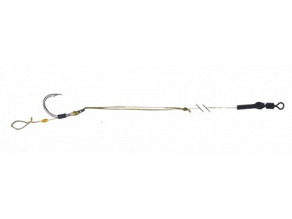 carp power removebg preview (2)