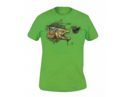 art trout kiwi removebg preview