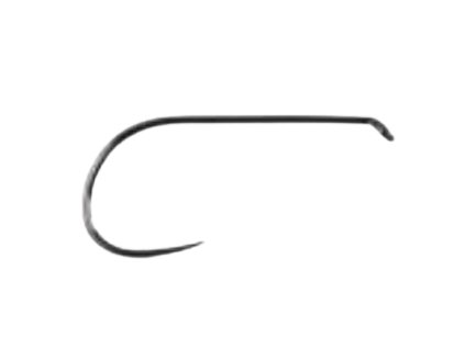 DF04 removebg preview