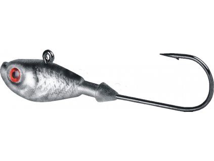 silver removebg preview (2)