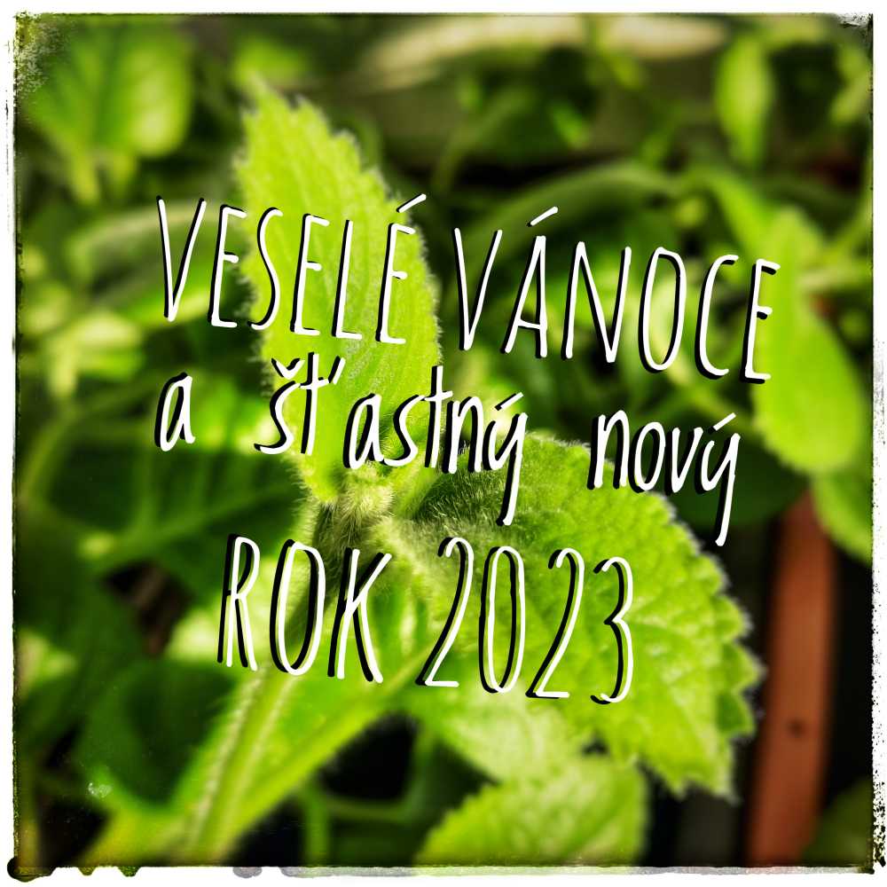Veselé Vánoce a šťastný nový rok 2023