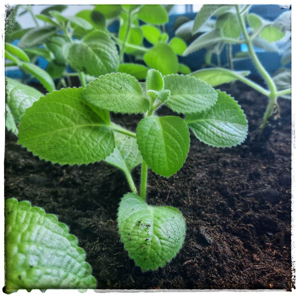 Rozjezd v novém roce