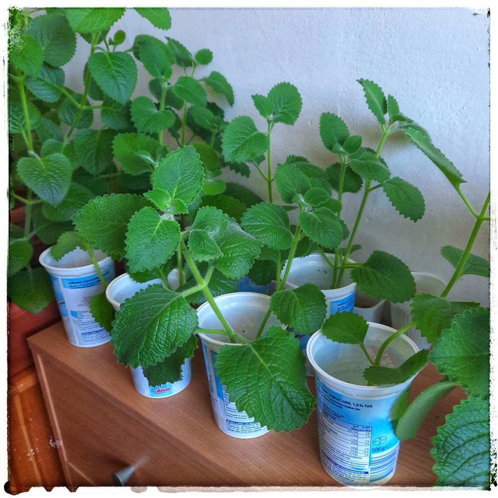 Ohlédnutí za rokem 2021