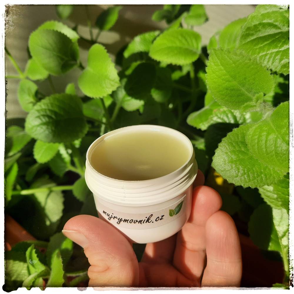 bylinkova_mas_rymovnik