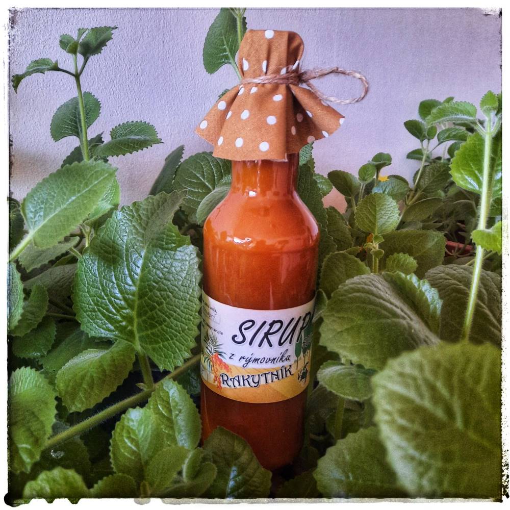 sirup_rakytnik_v_zahradce