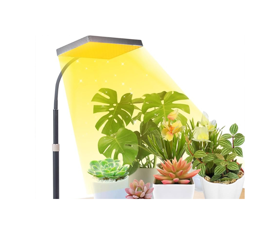 Jak správně svítit rostlinám