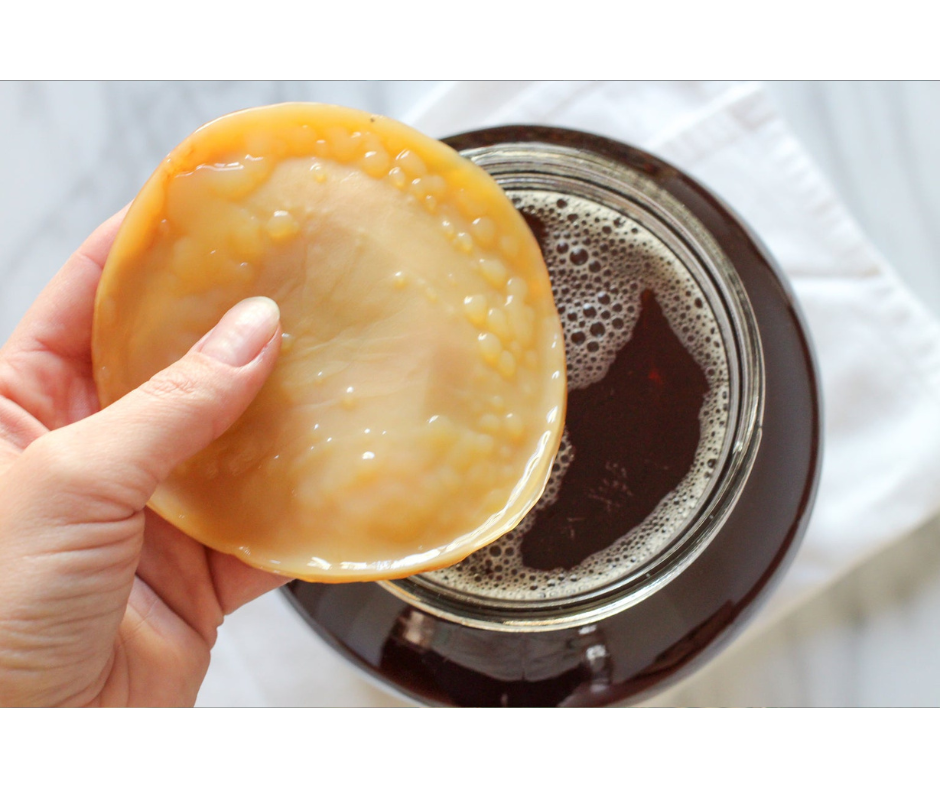 Kombucha: Vypěstuj si doma