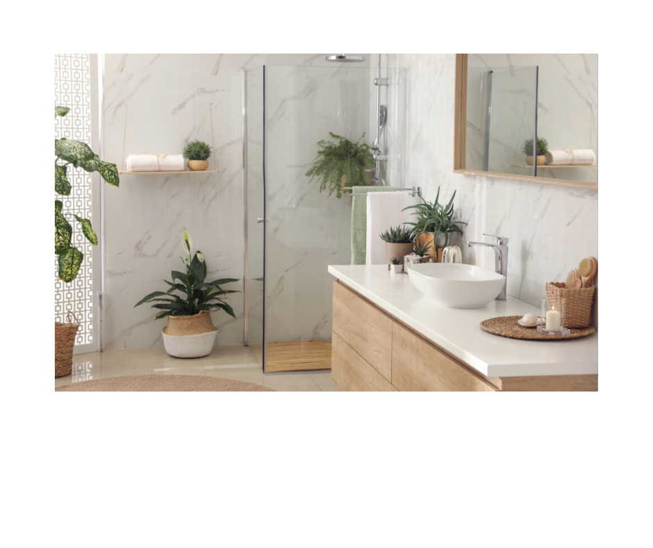 Rostliny vhodné do koupelny