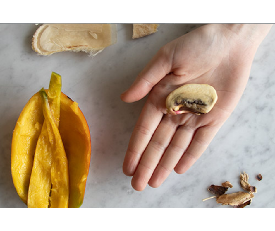 Vypěstuj si mango z pecky