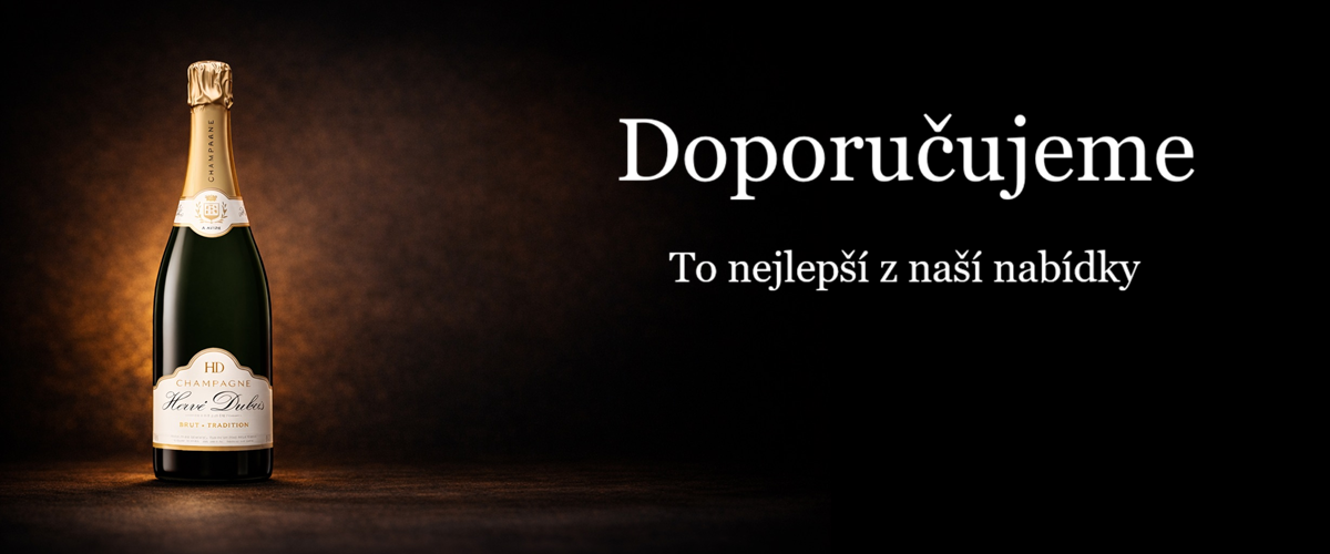 Doporučuji