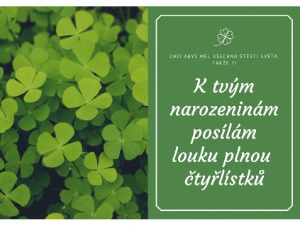 Zelený S Okrajem Jetel Den Svatého Patrika Přání