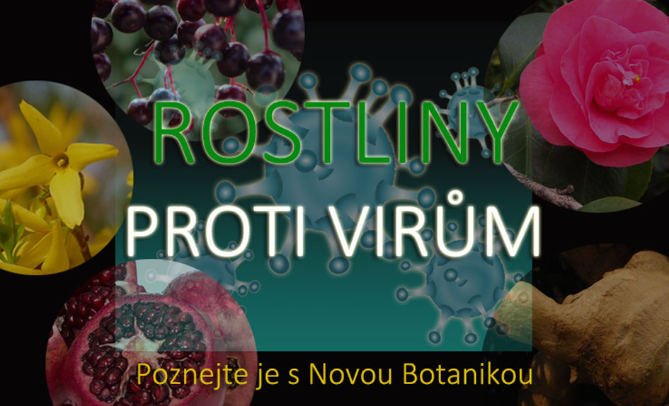 Rostliny proti covid-19 - aktualizace 11/2021