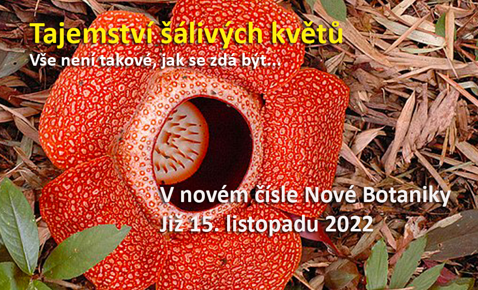 Šálivé květy