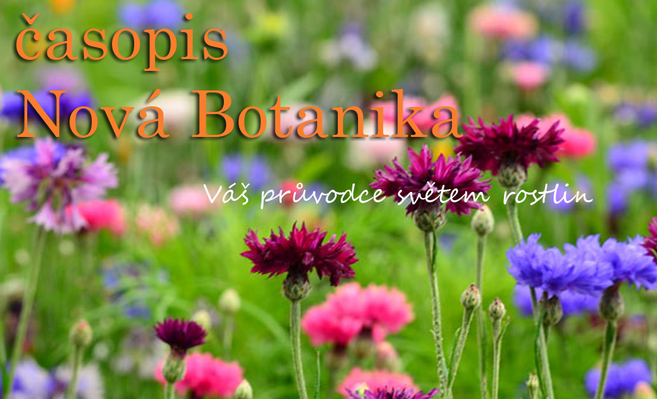 Časopis Nová Botanika. Objevujte s námi tajemství světa rostlin