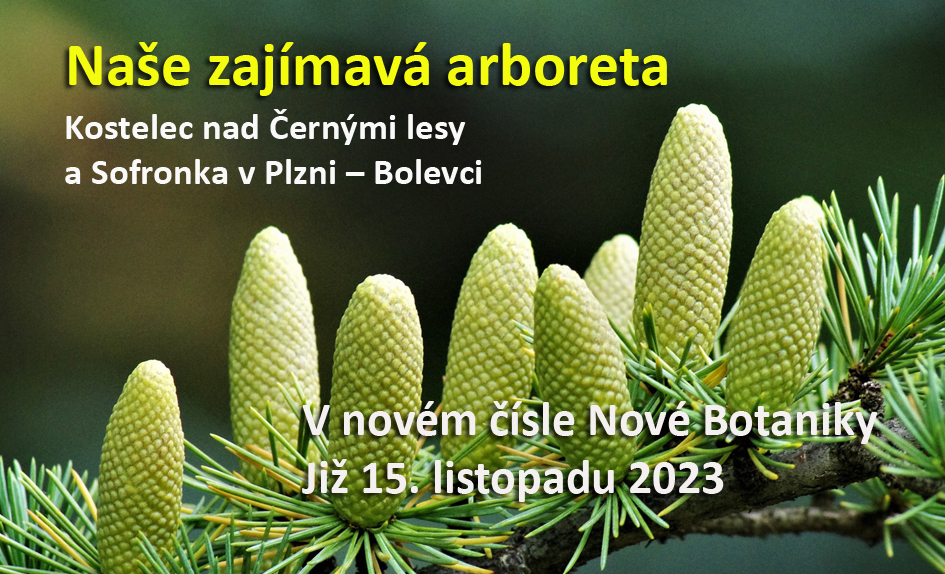 arboreta
