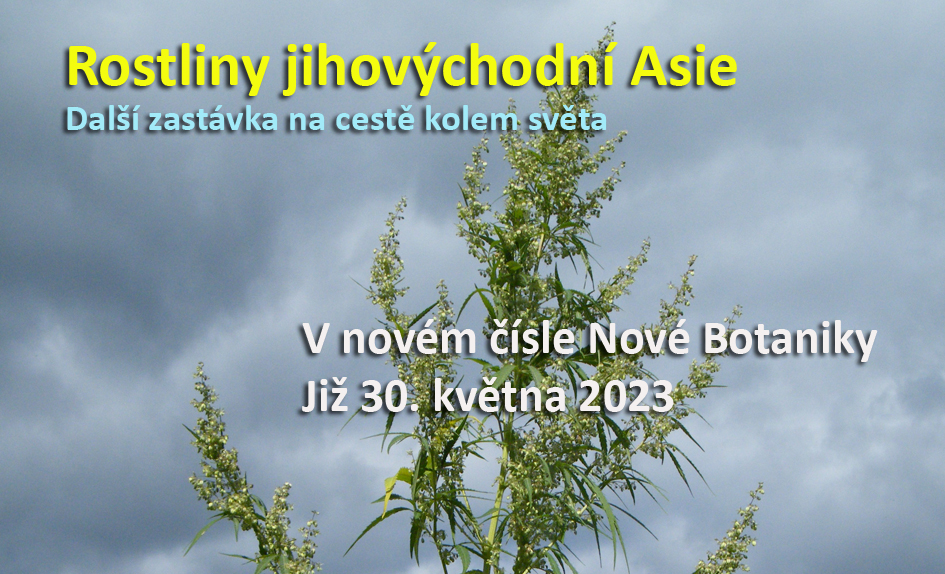 Asie