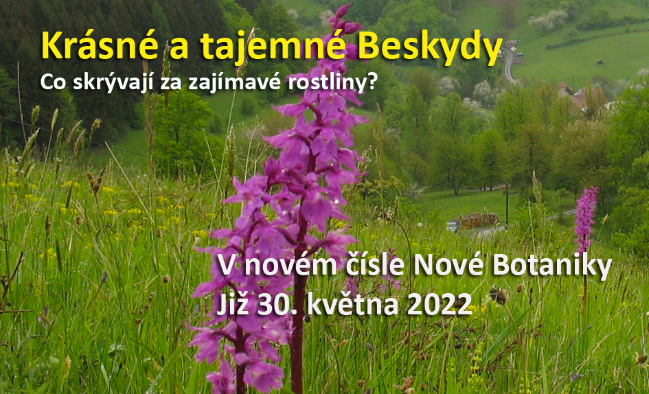 Beskydy
