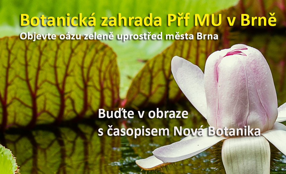 Botanická zahrada v Brně