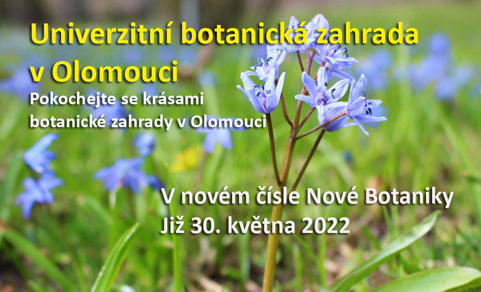 BZ Olomouc