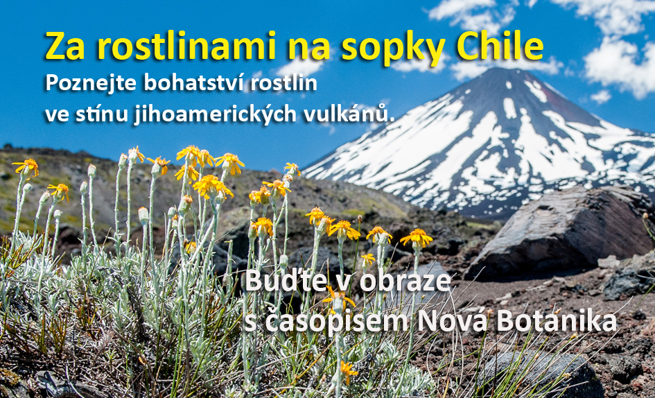 Za rostlinami na sopky Chile