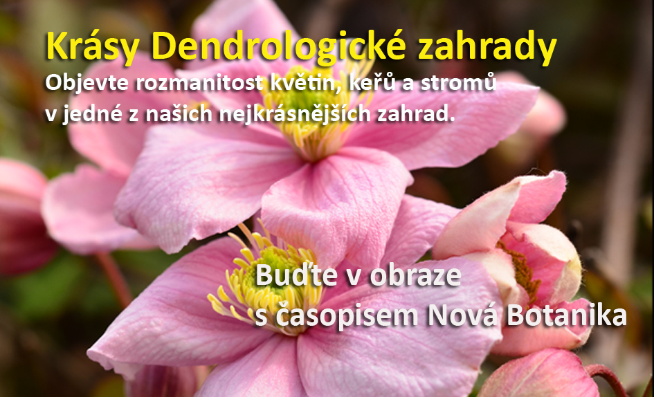 Krásy Dendrologické zahrady