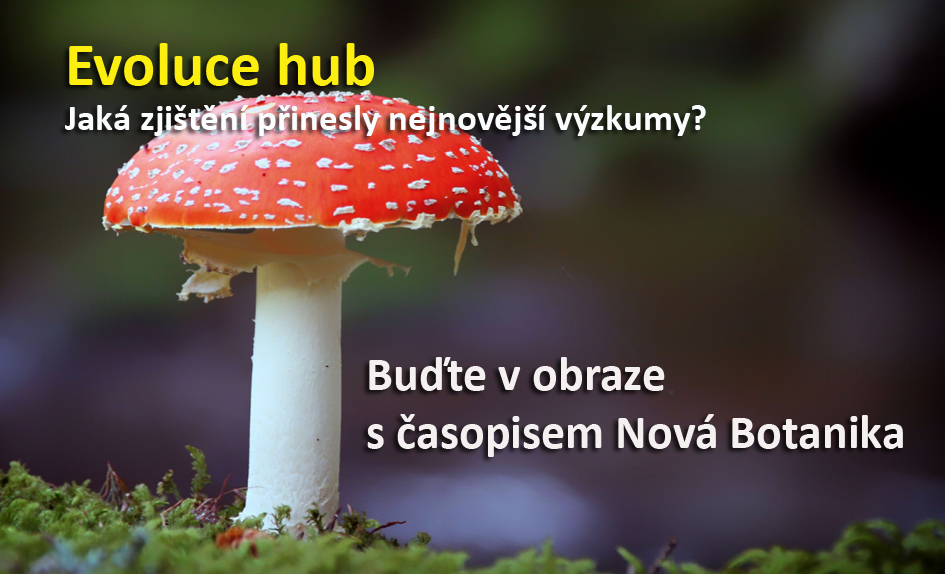 Evoluce hub