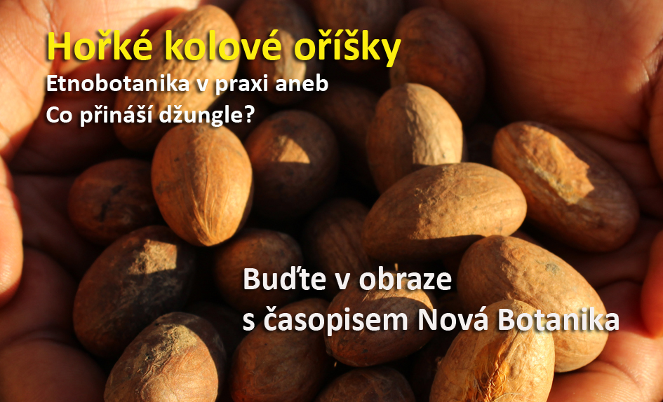 Co přináší džungle