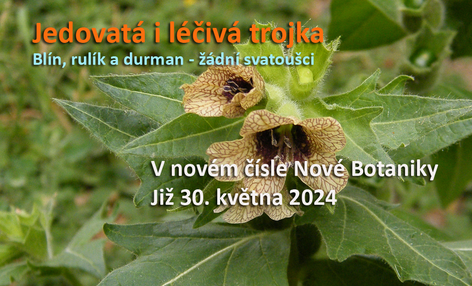 jedovatá trojka