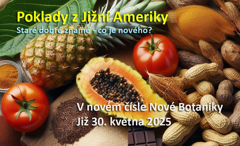 Jižní Amerika