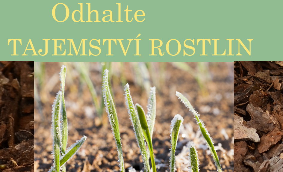 Novinky z vědy pro Vaše poznání