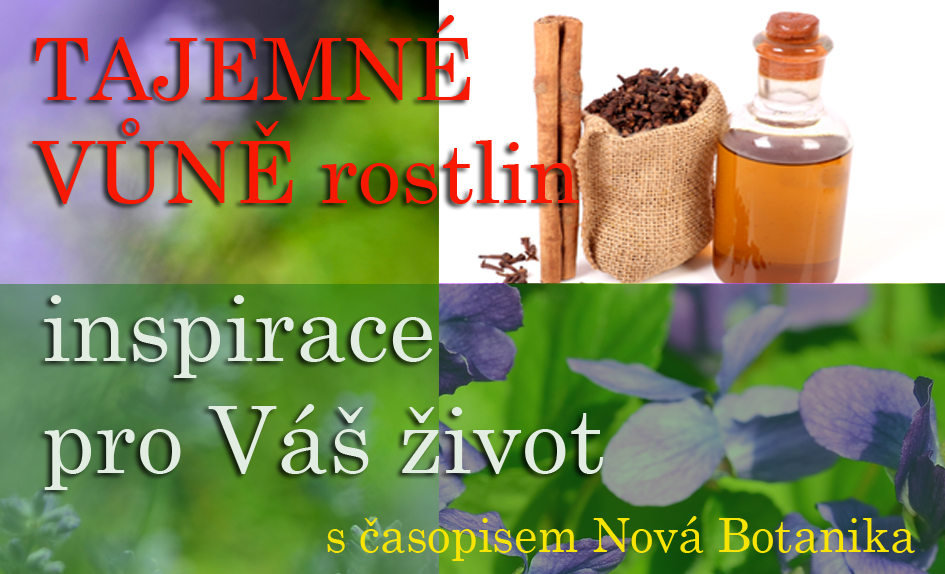 Tajemné vůně rostlin