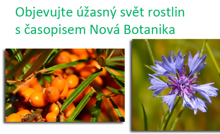 Poznávejte s námi úžasný svět rostlin
