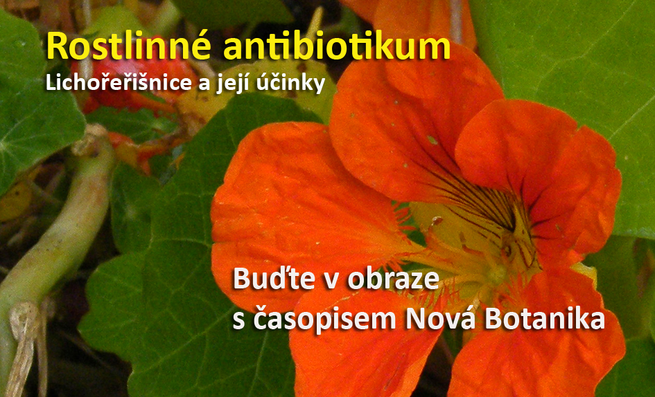 Rostlinné antibiotikum