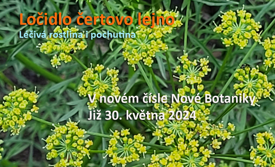 ločidlo