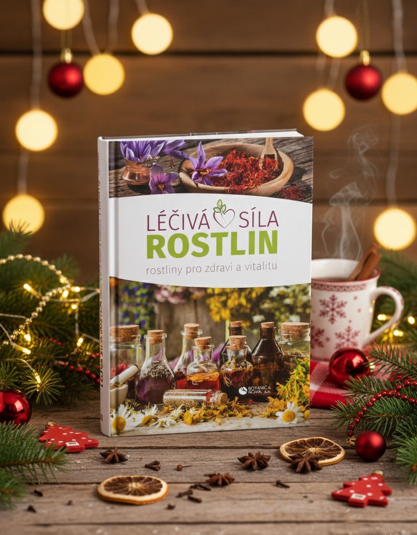 Léčivá síla rostlin