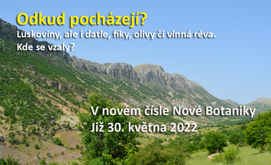 Luskoviny