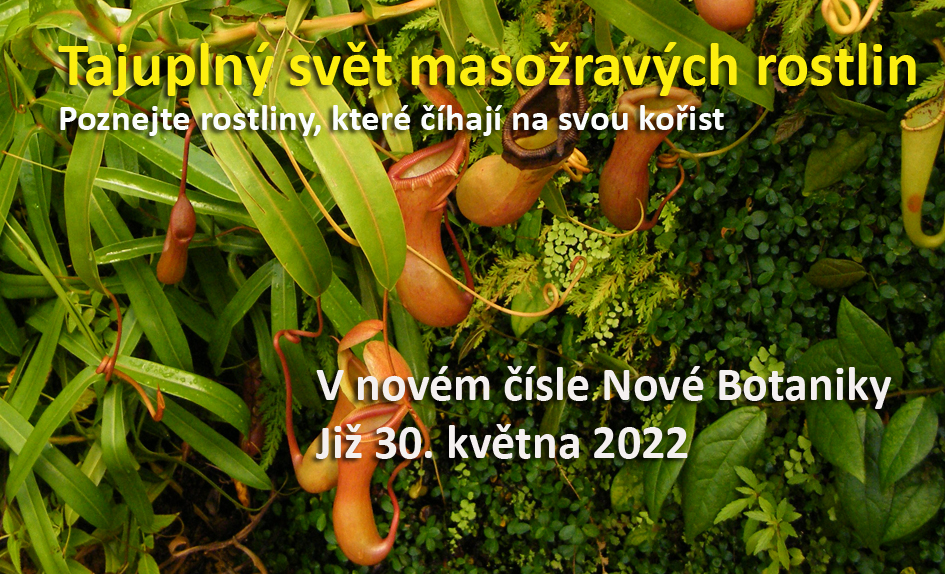 Masožravky
