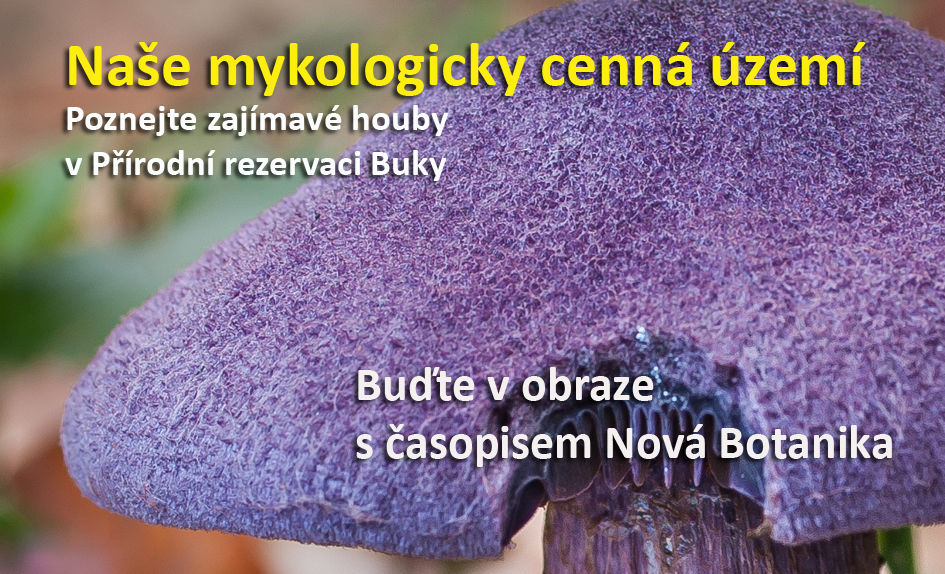 Mykologicky cenná území