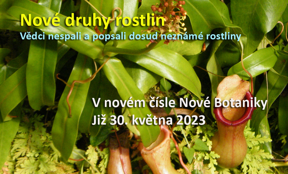 Nové druhy rostlin