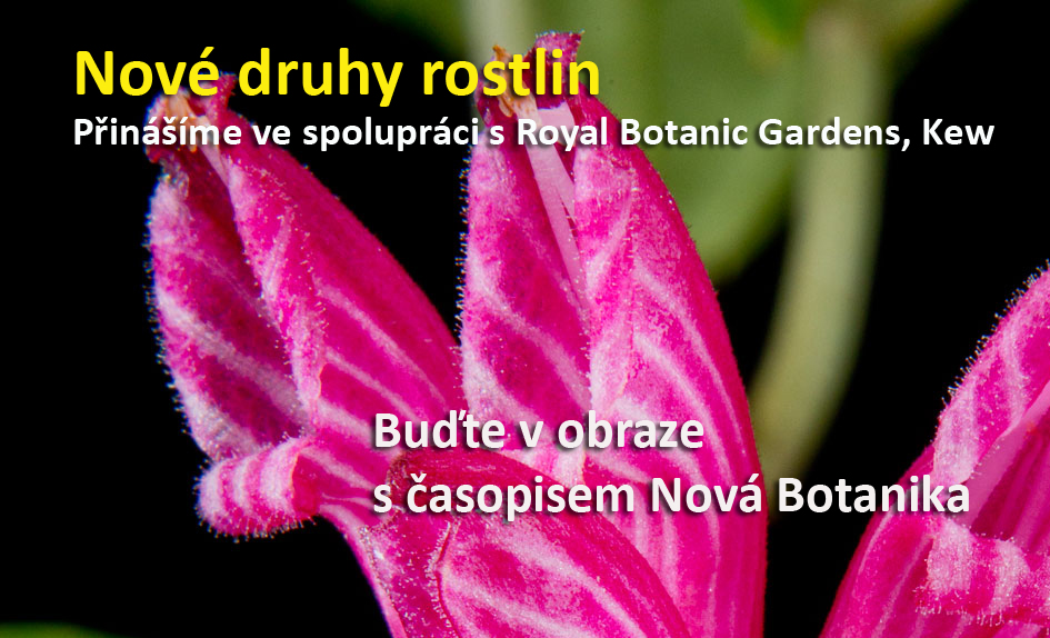 Nové druhy rostlin