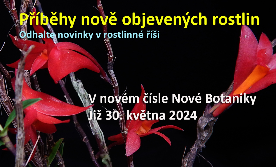 Novinky v rostlinné říši