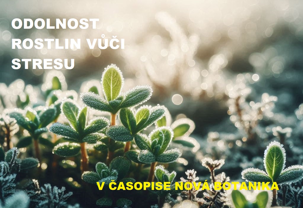 Odolnost